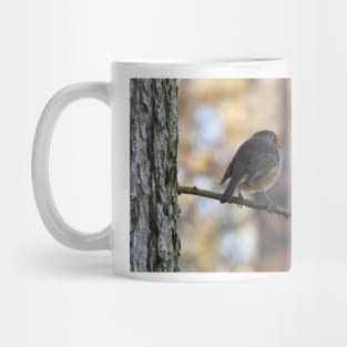 Robin Christmas Card Mug